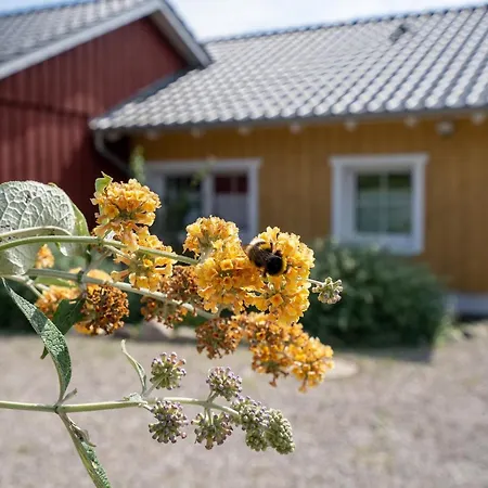 Alte Haus 2